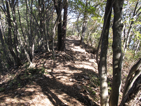 20161104hike (103)
